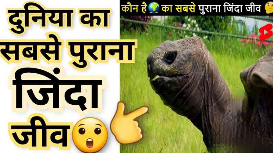 oldest living organism in hindi
