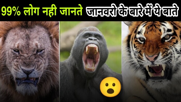 जानवरो से जुड़े 10 गजब के तथ्य | 10 Interesting Facts About Animals In Hindi