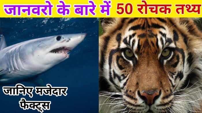 जानवरो के बारे में 50 रोचक तथ्य | 50 Amazing Facts About Animals In Hindi
