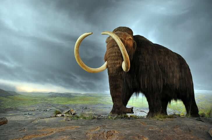 Mammoth Mystery in Hindi(2)